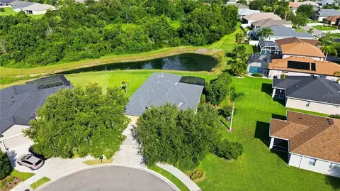 2915 126th Ter E, Parrish, FL 34219 photo 49