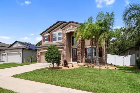 11438 Acacia Grove Ln, Riverview, FL 33579