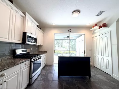 10806 Pine Bluff Gln, Parrish, FL 34219 photo 14