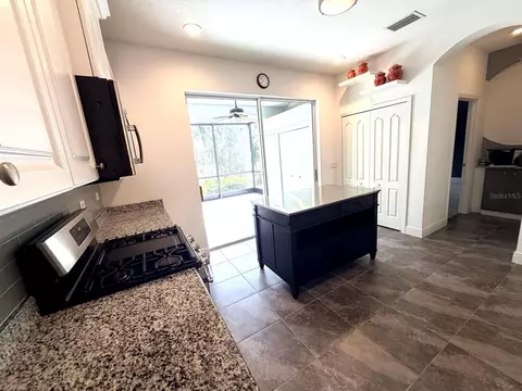 10806 Pine Bluff Gln, Parrish, FL 34219 photo 15