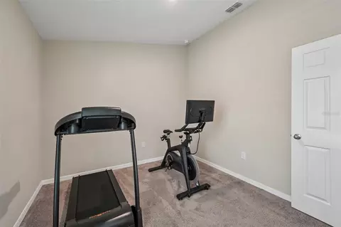 Other - 7728 Twinleaf Ter, Parrish, FL 34219 photo 6 of 9
