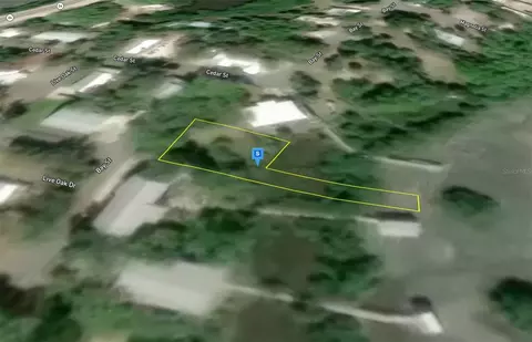 12425 Cedar St, Cedar Key, FL 32625 photo 3