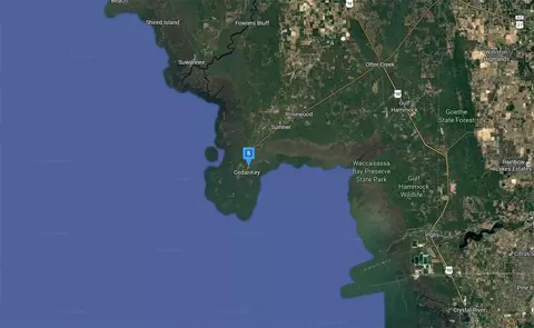 12425 Cedar St, Cedar Key, FL 32625 photo 5