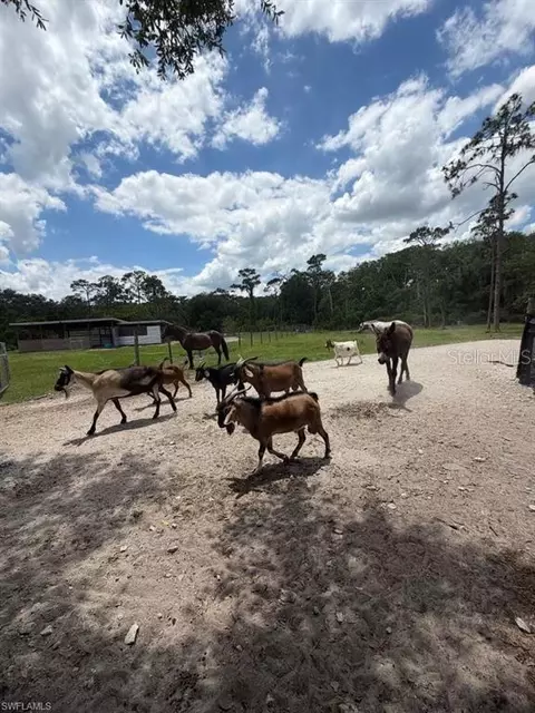 1375 W Ash Rd, Labelle, FL 33935 photo 6