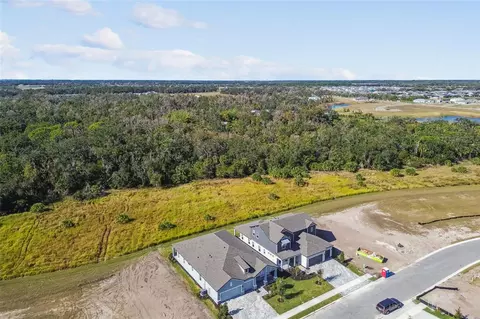3673 3673 142nd Ter E, Parrish, FL 34219 photo 52
