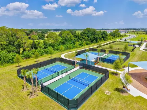 View/Area - 8818 Eastwyck Dr, Parrish, FL 34219 photo 20 of 21