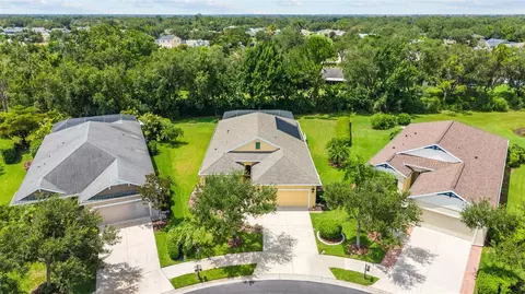 View/Area - 11739 Fennemore Way, Parrish, FL 34219 photo 5 of 11