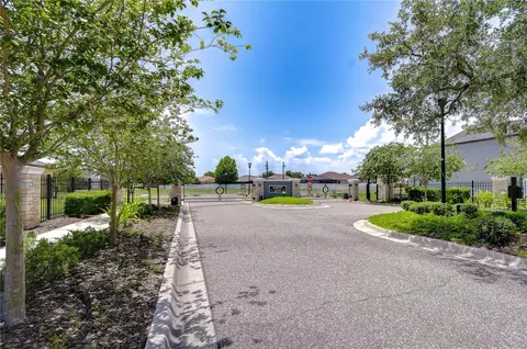 View/Area - 8443 White Poplar Dr, Riverview, FL 33578 photo 8 of 12
