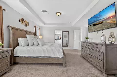 Bedroom - 6541 Devesta Loop, Palmetto, FL 34221 photo 3 of 8