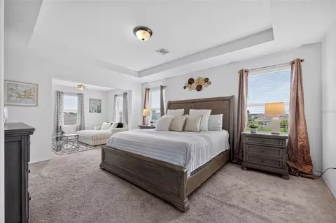 Bedroom - 6541 Devesta Loop, Palmetto, FL 34221 photo 1 of 8