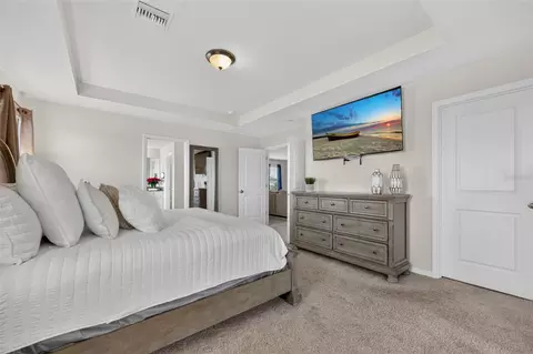 Bedroom - 6541 Devesta Loop, Palmetto, FL 34221 photo 4 of 8