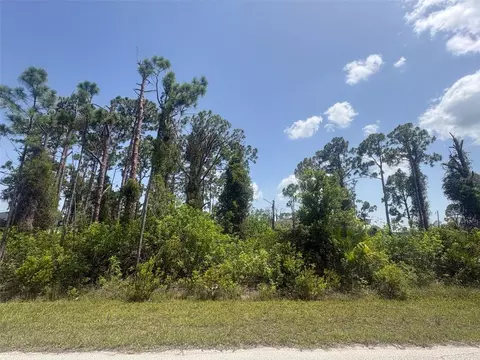 14201 Naylor Ave, Port Charlotte, FL 33981