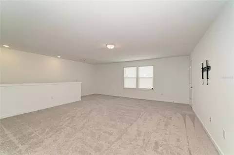 Other - 12703 Blue Reflection Ave, Parrish, FL 34219 photo 10 of 12