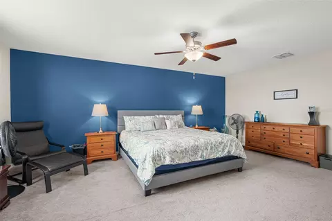 Bedroom - 9823 Lemon Drop Loop, Ruskin, FL 33573 photo 4 of 11