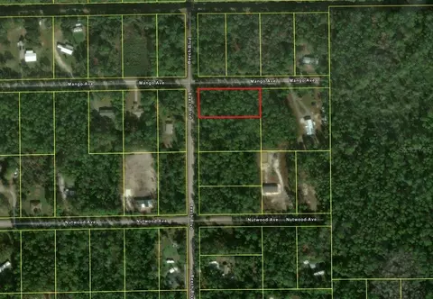 2515 Beech Blvd, Bunnell, FL 32110 photo 2