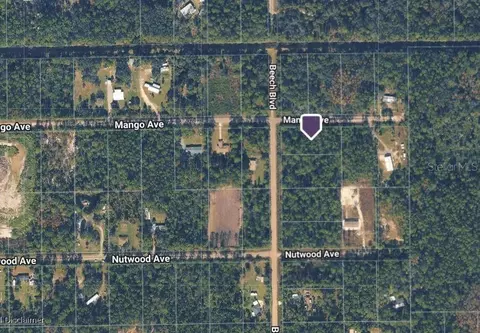 2515 Beech Blvd, Bunnell, FL 32110 photo 3