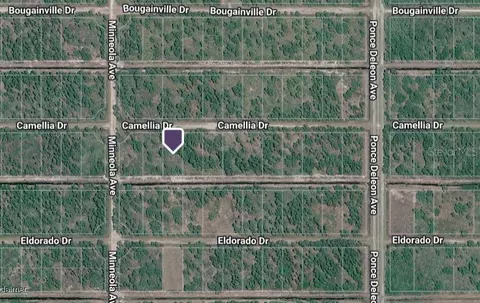 419 Camellia Dr, Indian Lake Estates, FL 33855