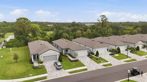 View/Area - 9410 Shorebird Ct, Parrish, FL 34219 photo 4 of 29