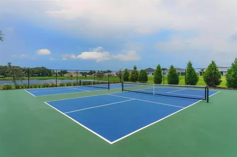 View/Area - 13667 Old Creek Ct, Parrish, FL 34219 photo 13 of 13