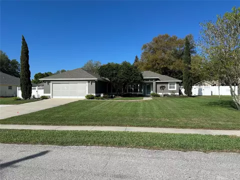 417 Anderson Dr, Tavares, FL 32778