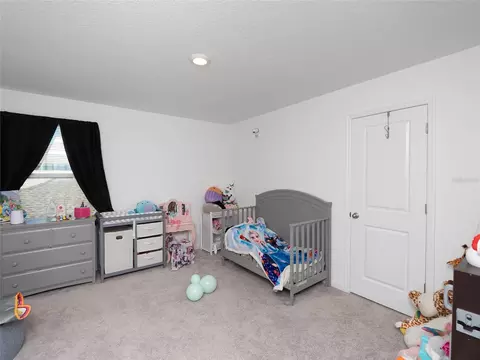 Bedroom - 9019 Waxwing Way, Parrish, FL 34219 photo 5 of 10