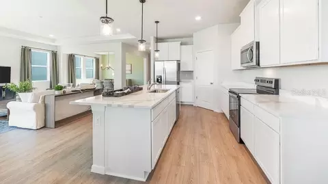 11018 Hidden Glade St, Parrish, FL 34219 photo 5