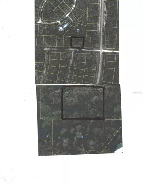 3205 Michele Ave, Lake Placid, FL 33852