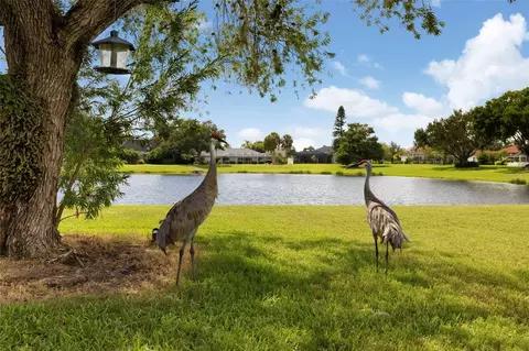Exterior - 3205 Wilderness Blvd E, Parrish, FL 34219 photo 24 of 25