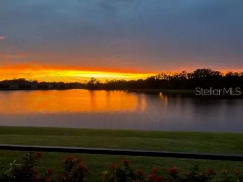 View/Area - 10037 Hammock Brook Dr, Parrish, FL 34219 photo 5 of 8