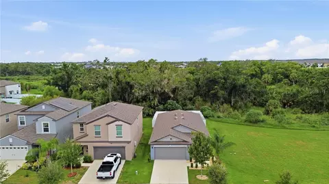 View/Area - 10331 Blue Plume Ct, Riverview, FL 33578 photo 2 of 9
