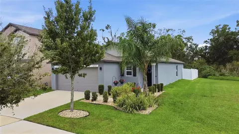 Exterior - 10331 Blue Plume Ct, Riverview, FL 33578 photo 10 of 13