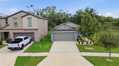 View/Area - 10331 Blue Plume Ct, Riverview, FL 33578 photo 1 of 9