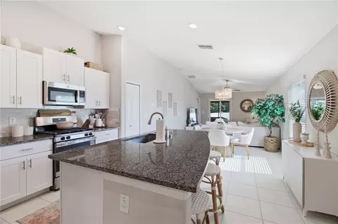 Kitchen - 10331 Blue Plume Ct, Riverview, FL 33578 photo 2 of 5
