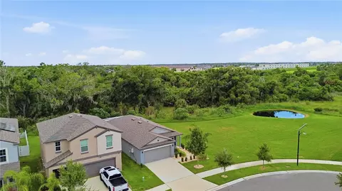 View/Area - 10331 Blue Plume Ct, Riverview, FL 33578 photo 3 of 9