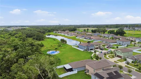 View/Area - 10331 Blue Plume Ct, Riverview, FL 33578 photo 6 of 9