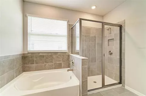 Bath - 11007 Tamarack Pl, Parrish, FL 34219 photo 2 of 5