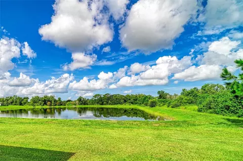 View/Area - 11007 Tamarack Pl, Parrish, FL 34219 photo 2 of 8