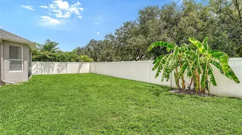 Exterior - 11481 Summit Rock Ct, Parrish, FL 34219 photo 11 of 16