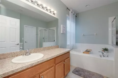 Bath - 7919 113th Ave E Ave E, Parrish, FL 34219 photo 1 of 7