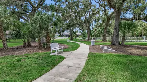 View/Area - 3308 Box Turtle Ter, Parrish, FL 34219 photo 14 of 22
