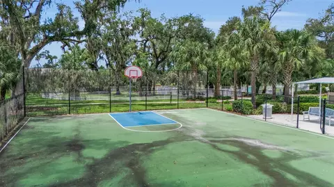 View/Area - 3308 Box Turtle Ter, Parrish, FL 34219 photo 11 of 22