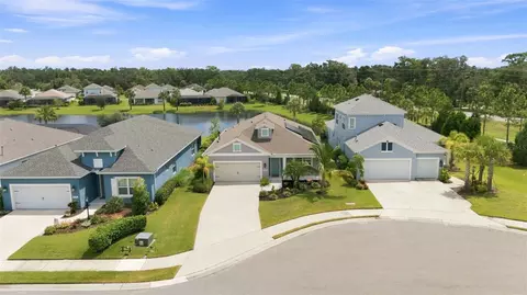 View/Area - 3308 Box Turtle Ter, Parrish, FL 34219 photo 7 of 22