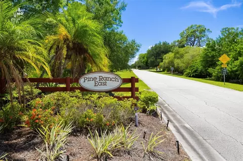 Other - 296 Pine Ranch Trl, Osprey, FL 34229 photo 13 of 18