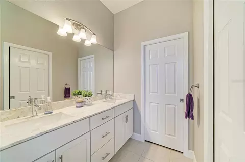 Bath - 3835 Creekside Park Dr, Parrish, FL 34219 photo 3 of 4
