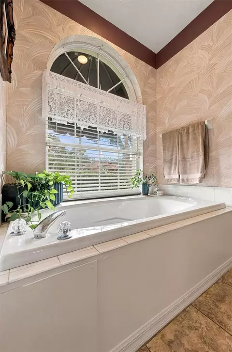 Bath - 3310 River Woods Dr, Parrish, FL 34219 photo 5 of 9