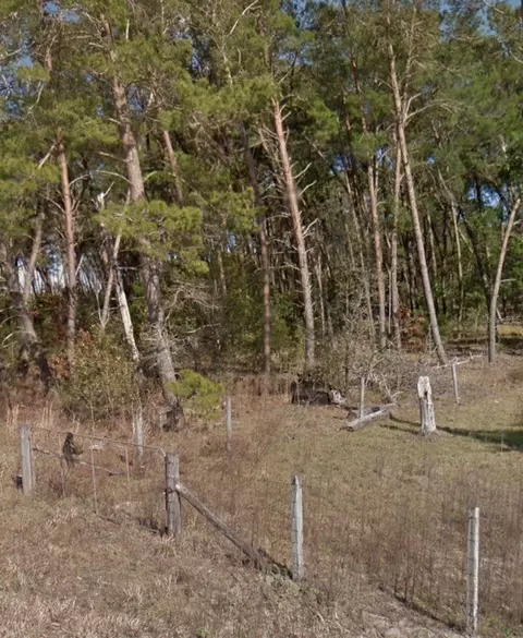 SE 140 Avenue, Williston, FL 32696 photo 3