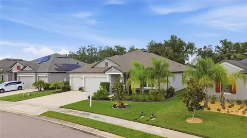 View/Area - 12807 Wheatgrass Ct, Parrish, FL 34219 photo 1 of 3
