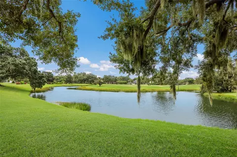View/Area - 3721 Wilderness Blvd W, Parrish, FL 34219 photo 3 of 11