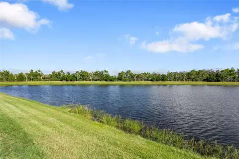 View/Area - 10625 Falling Leaf Ct, Parrish, FL 34219 photo 1 of 1