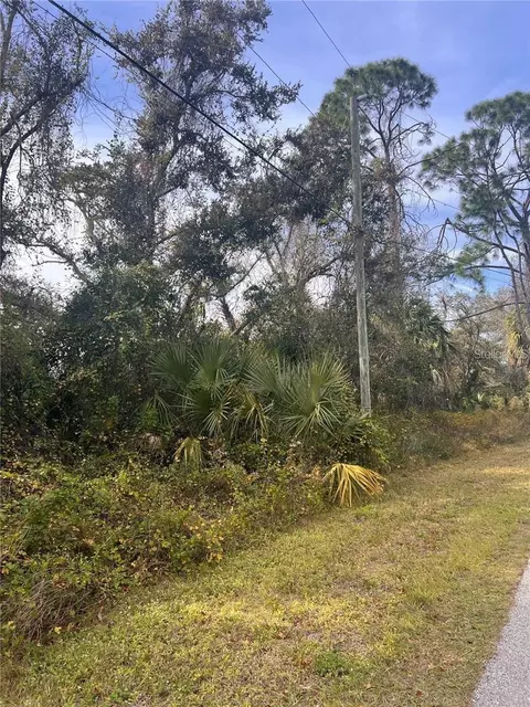 Firebrand Road, North Port, FL 34288